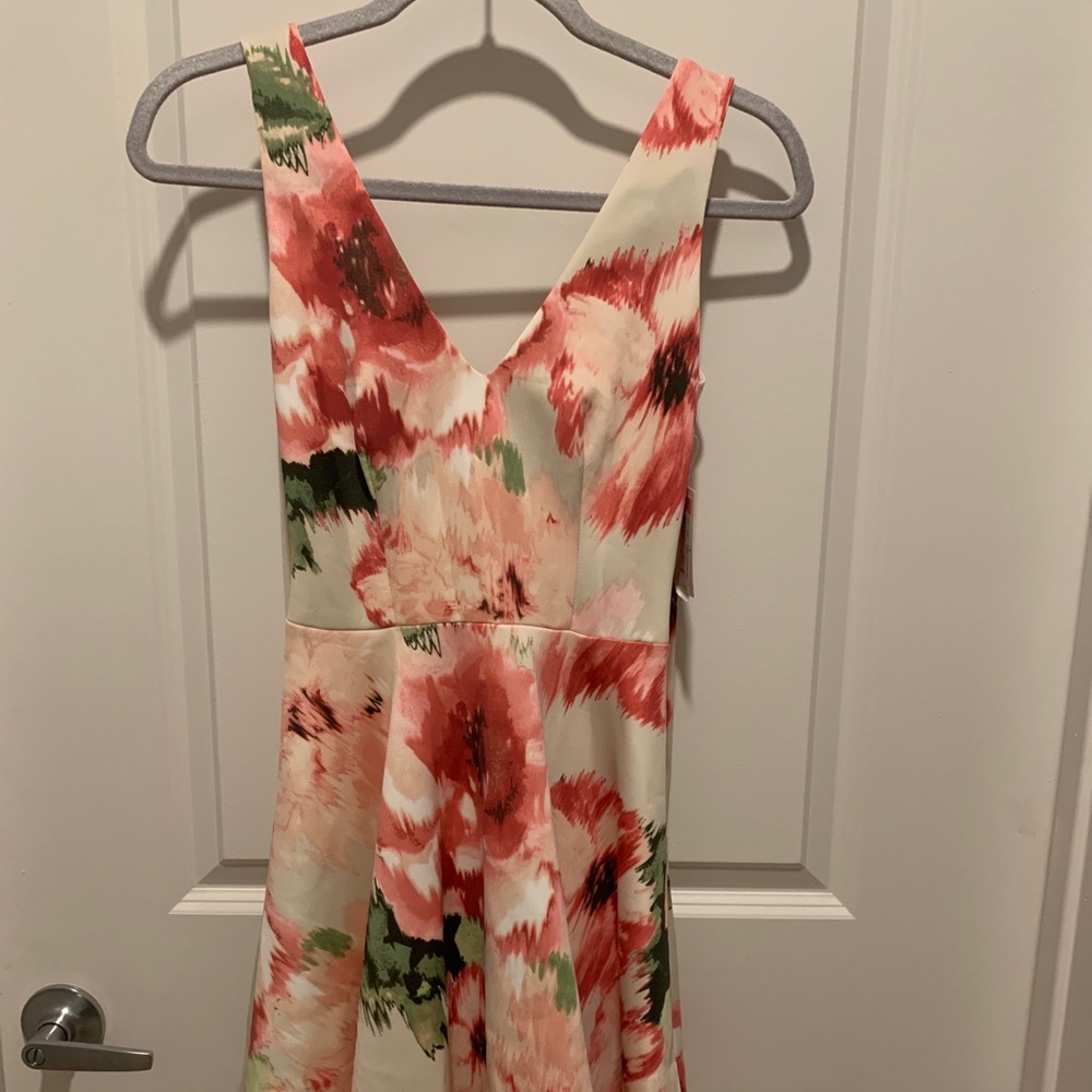 B. Darlin Fit and Flare Floral Pink Dress